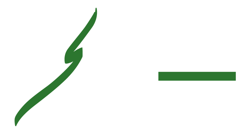 Diserens Electromecanique Logo blanc